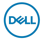 DELL   600GB 10K SAS 12Gbps, 512n, LFF (2.5" in 3.5" carrier), Hot-plug For 14G/15G/16G (analog 400-ATIL , 9FM3T)