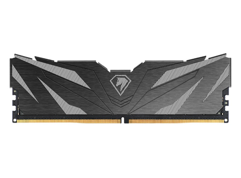 Netac Shadow II DDR5-6000 (PC5-48000) 16GB C38 38-48-48-96 1.35V XMP Memory module (DIMM) Black