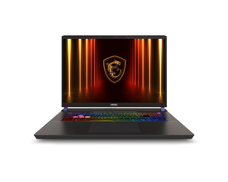 MSI Vector 17 HX A2XWJG-062RU Ultra9 275HX 17" 16:10 QHD+(2560 x 1600)240Hz DDR5 32GB (16GB*2),1TB SSD, NV RTX 5090 (24GB GDDR7),90Whr,3kg,1y,Win11Home,Gray