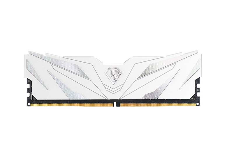 Netac Shadow II DDR5-6000 (PC5-48000) 16GB C38 38-48-48-96 1.35V XMP Memory module (DIMM) White